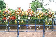 ϤƤޤƥӶɡWARNER󤫤顣
